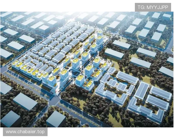 中外企业家联盟推动全球经济合作与创新发展新篇章